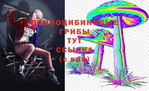 хмурый Алексеевка