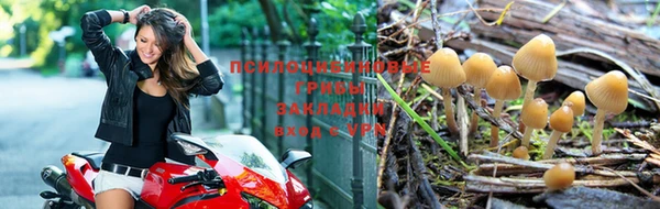экстази Алексин