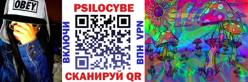 Псилоцибиновые грибы прущие грибы  Пыталово 